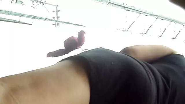 カタロニア語bitchと組み合わせることは良いslut エッチ 動画 女性 専用