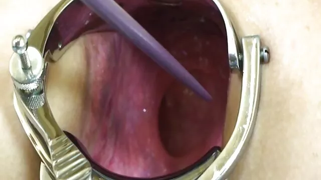 Veronica Avluvは非常に忍耐強いです。 エッチ 動画 無料 女性 向け